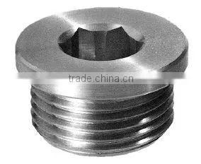 Socket screw plugs