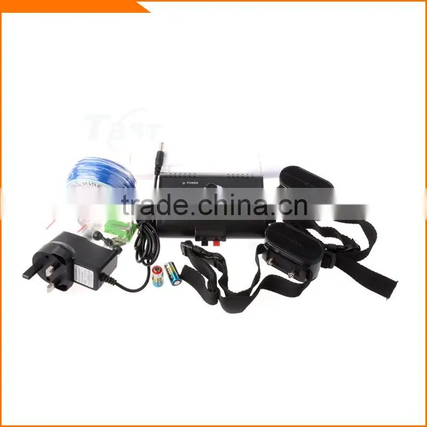 Dog in Ground Pet Fencing System