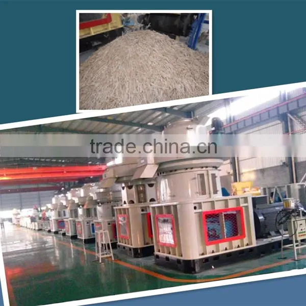 Homemae Wood Pellet Mill for Sale