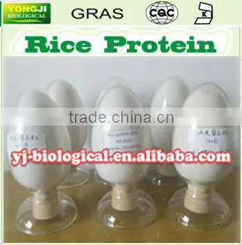 Wholesale Bulk NON-Allergenic Rice Protein 300 Mesh 80%min for Vegetrain