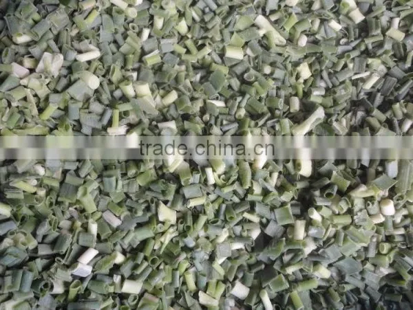 IQF Scallions On Sale 2015 Crop photo-5