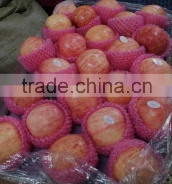 Chinese Fuji Apple photo-2