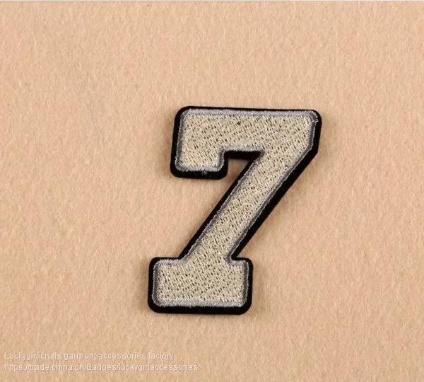Cool New Design Skull/ Number Patch Embroidered for Cricket Jerseys photo-4
