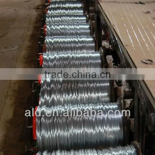 Hebei Factory 2mm Galvanized Wire Wire Mesh Factory photo-2