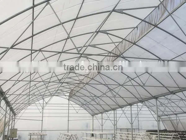 Commercial Greenhouse for Sale photo-2
