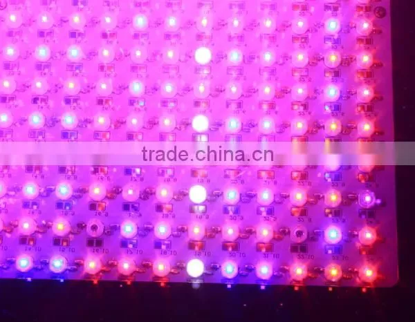 High Quality Greenhouse Cheap 600w Led Grow Lights for Sale photo-6