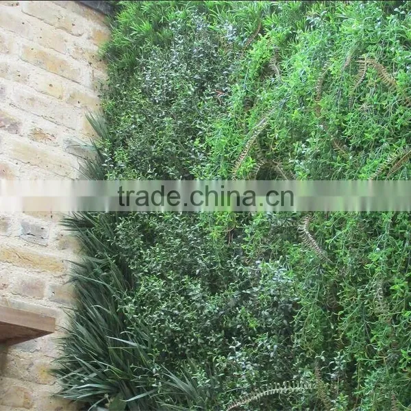 Vertical Garden Green Plants Wall,green Wall Backdrop photo-4