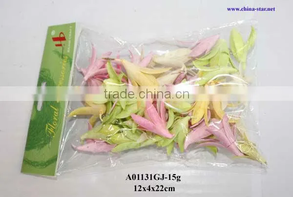 Natural Preserved Flower