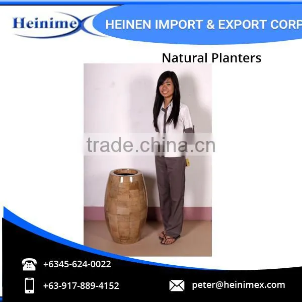High Quality Fiberglass and Dried Banana Leaves Made Planters for Wholesale photo-2