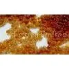Ion Exchange Resin photo-3