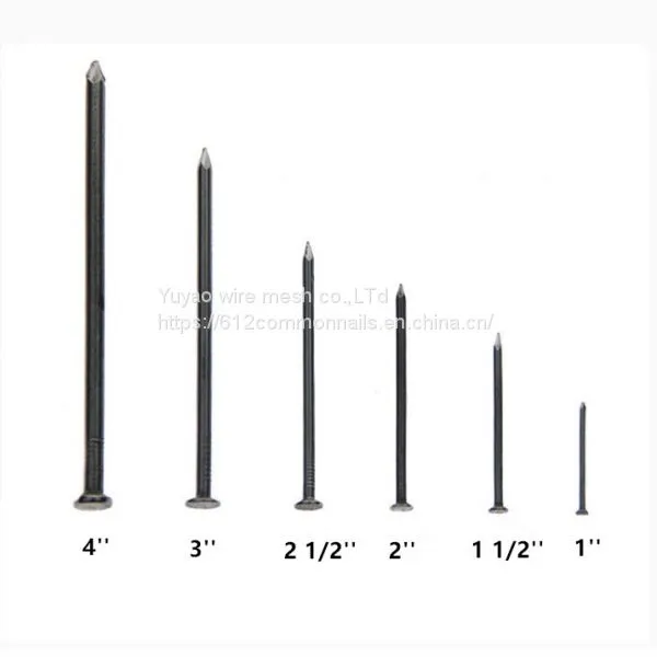 Common Nails/wire Iron Nails photo-5