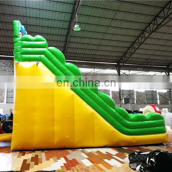 Factory Price Children Outdoor Playground Equipment Inflatable Bouncer With Large Slide For Sale photo-6