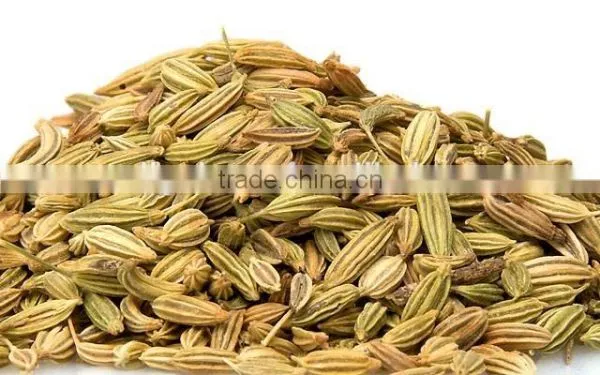 Fennel Seed