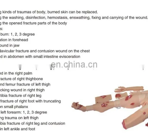 Advanced Trauma Nursing Medical Mannequin Wound Care Adult Trauma Training Manikin photo-2