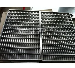 Wedge Wire Coal Vibratory Sieve photo-2