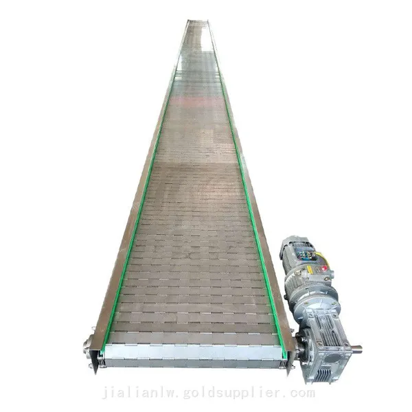 Plastic Chain Plate Conveyor Flat Top Chain Anti-Static Perforation Single Hinged Straight Stainless Steel Chain Conveyor System photo-3
