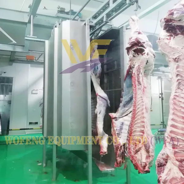 800 Cattle Per Shift Butchery Machinery Beef Abattoir Equipment Slaughterhouse for Cows and Lamb Mutton Beef Processing Line
