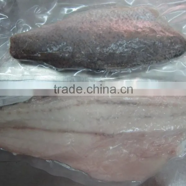 Frozen Barramundi Fillet photo-3