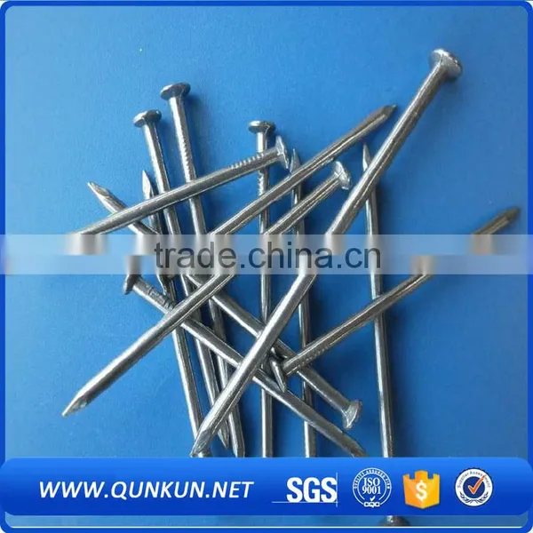 Common Steel Wire Nails High Quality photo-5