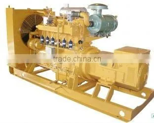200kw/250KVA Natural Gas Generating Electrical