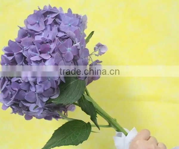 Elegant in Smell Top Sell Indoor Decoration Flower of Hydrangea photo-2