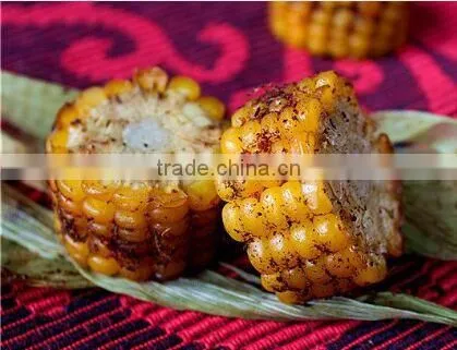 Healthy Food Use Nut Meat Fish Chicken Duck Roasting Machine photo-6