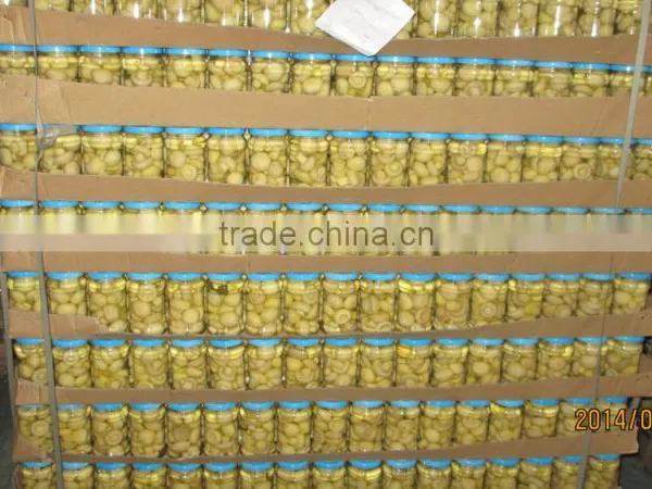 Canned Mushrooms in Glass Jar Branded Canned Food Products photo-5