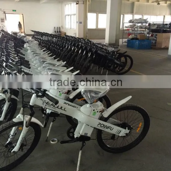 Seagull, Electric Bike Kit With 20" X 1.75 City Tyre photo-5