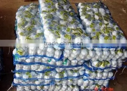 Hdpe Raschel Mesh Bags