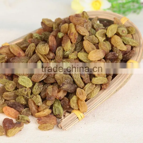 2015 Xinjiang Turpan Green Raisins Dried Grapes photo-4