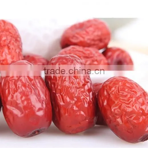 Bulk Sale Ziziphus Jujube Red Jujube Date Fruit Sale