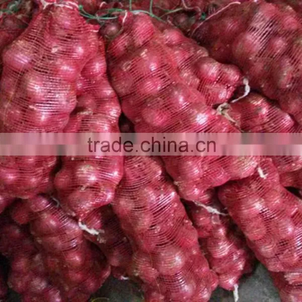 Fresh Red/yellow Onion High Quality From China photo-3