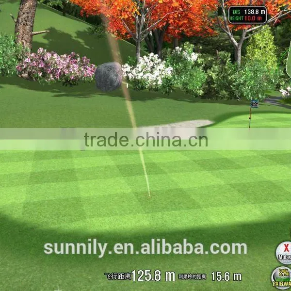 Virtual Golf photo-2