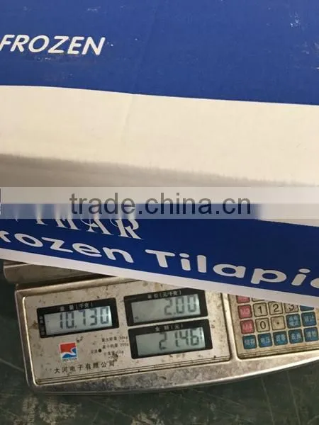 Farm Frozen Tilapia in Fujian photo-2