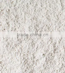 Wheat Flour