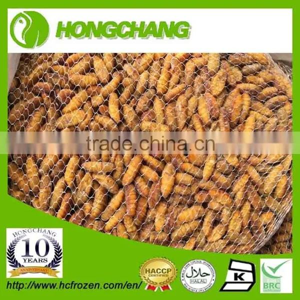 NEW SEASON FROZEN SILKWORM FOR SALE