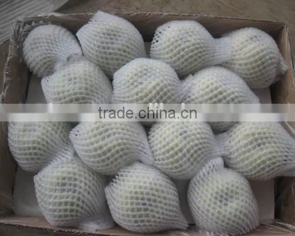 Fresh Fruit Emerald Pear With Good Price for Exporting photo-4
