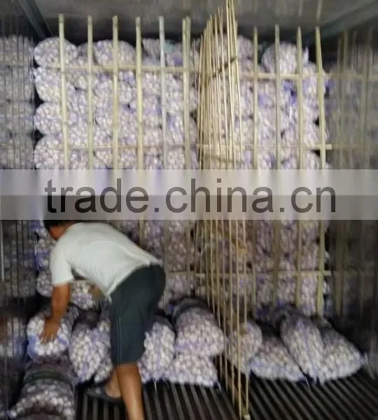China Normal White Fresh Garlic for Hot Selling photo-6