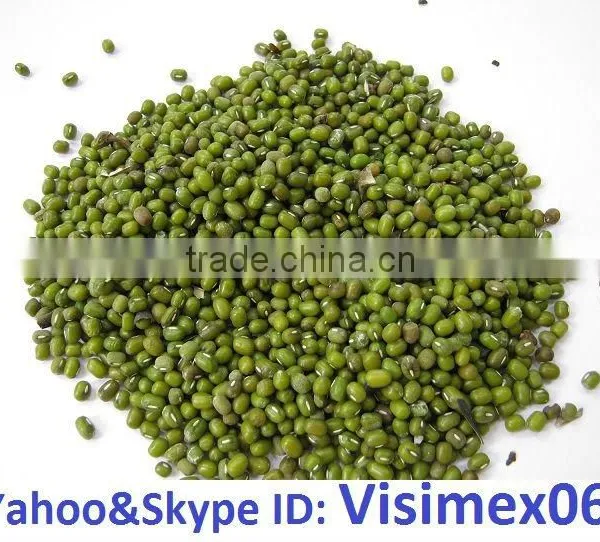 HIGH QUALITY GREEN MUNG BEAN (website&Yahoo: Visimex06)
