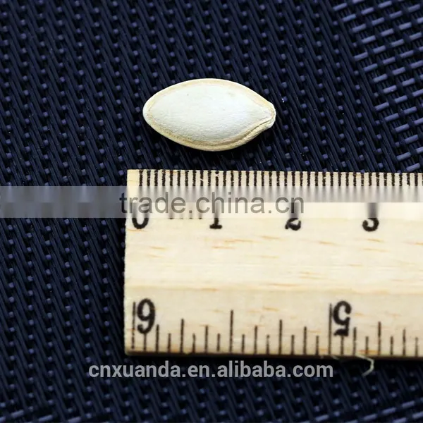 China White Pumpkin Seeds Price photo-6