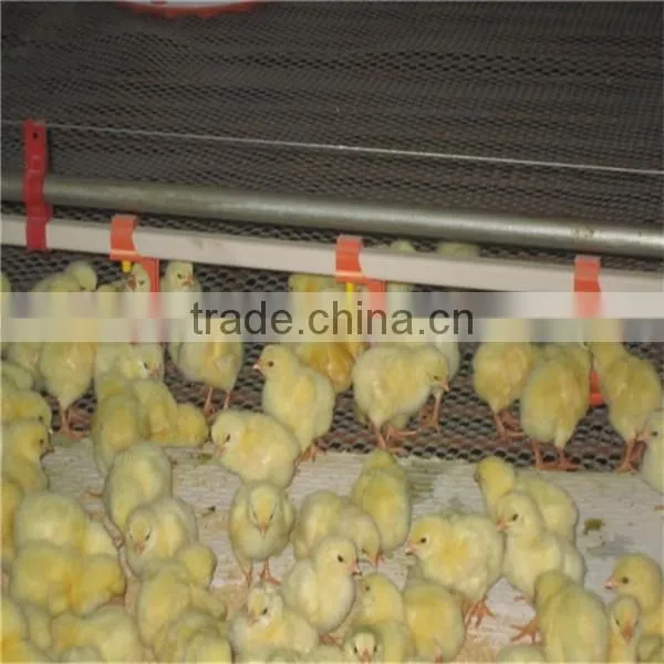 Chicken Automatic Drinker