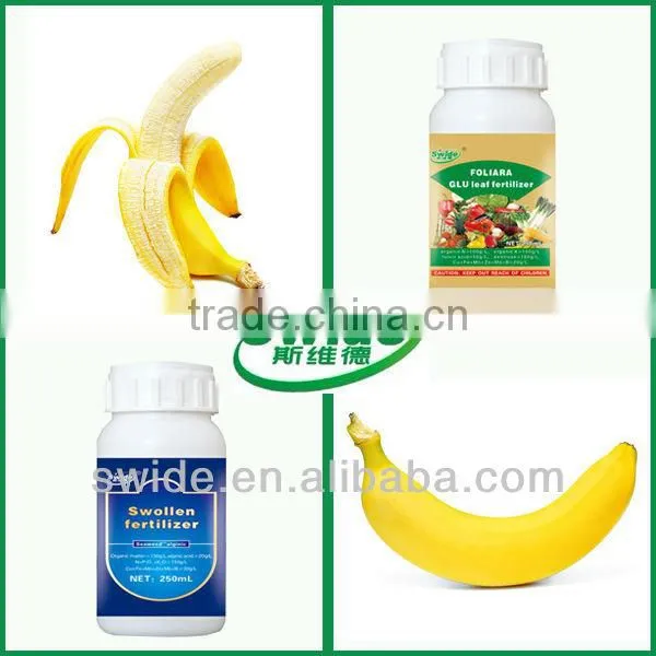 Banana Seaweed Fertilizer