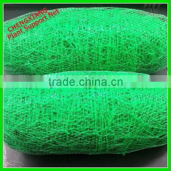 High Quality PE Plant Support Net photo-2
