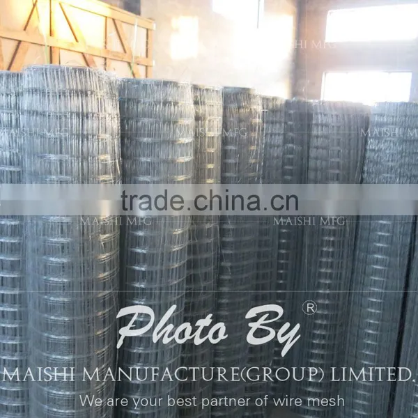 Welded Wire Mesh for Construction Building photo-2