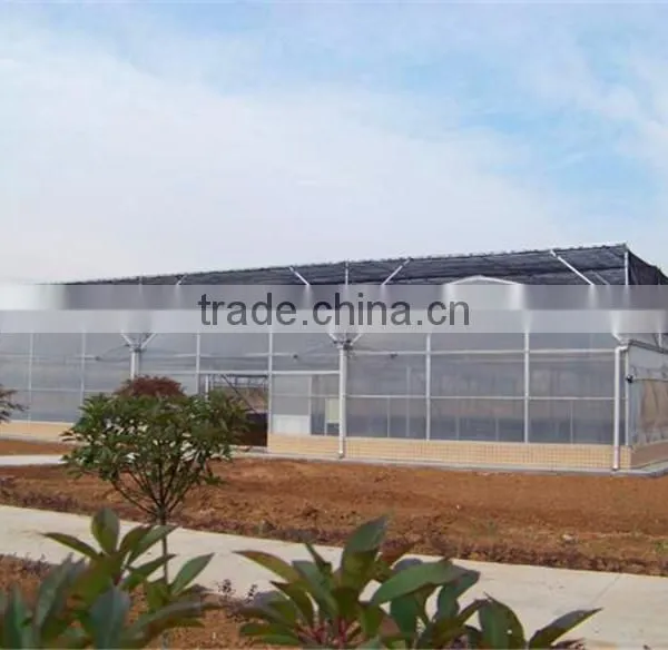 Long Life Service and Hot Galvanized Steel Agriculture Greenhouse photo-3