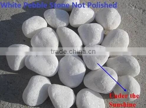 Snow White Pebble photo-3