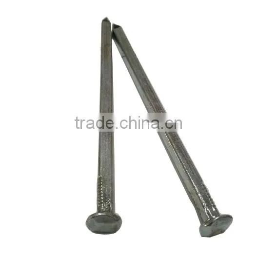 Square Shank Boat Nail With Factory Price photo-4