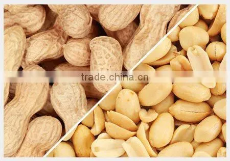 Arachis Oil photo-3