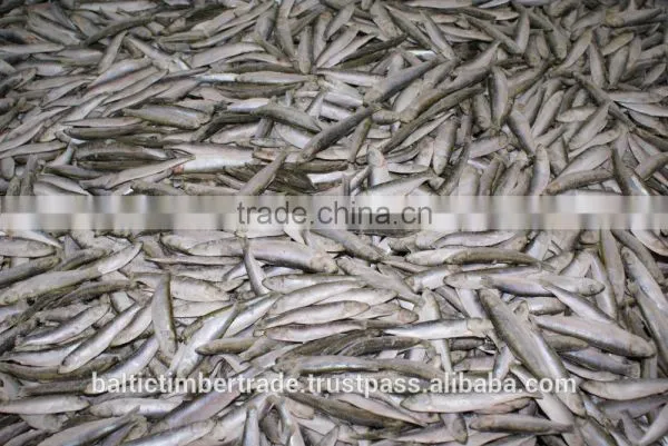 IQF Frozen Sprats, Frozen Anchovy Fish photo-2