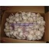 Pure White Fresh Garlic photo-2